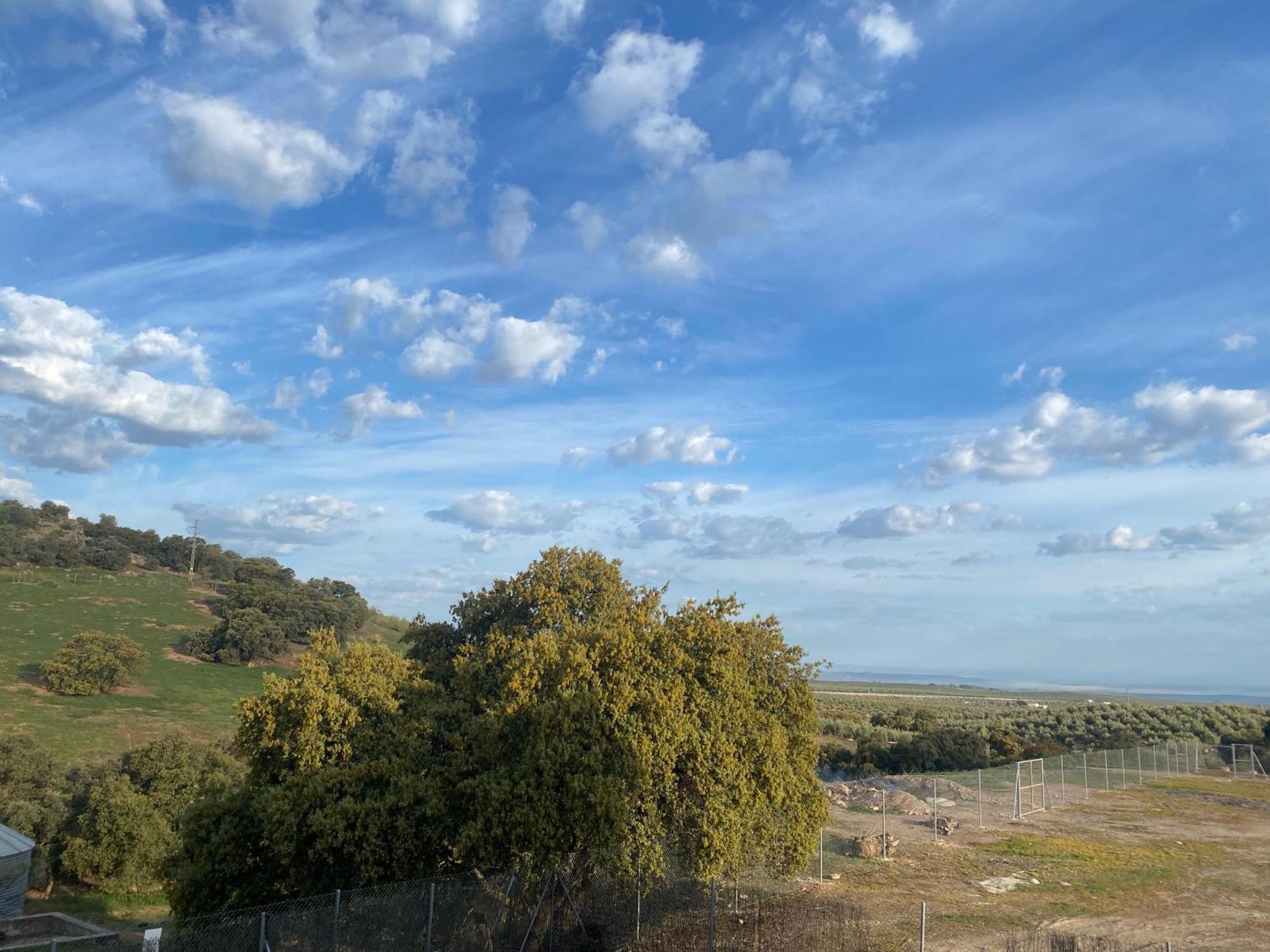 Casa Royal, Mancha Real, Jaen Villa ภายนอก รูปภาพ